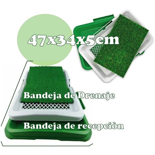 Imagen 4