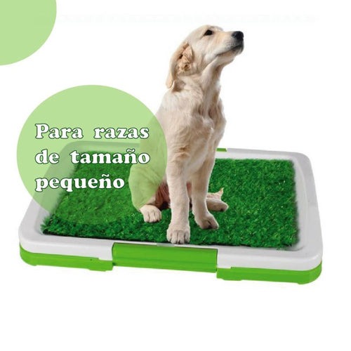 Imagen 5